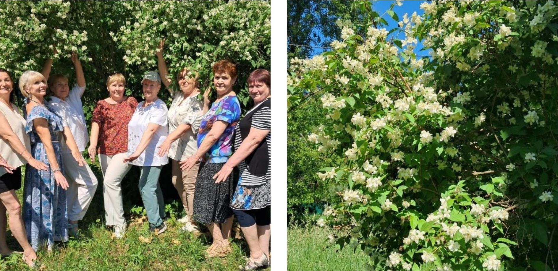 Клуб интеллектуального досуга. Освоение навыков ландшафтного дизайна